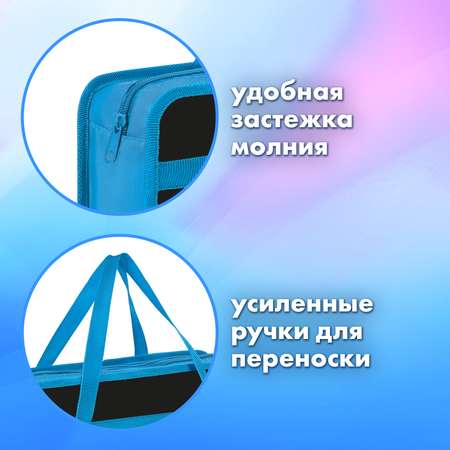 Папка для тетрадей Brauberg А4
