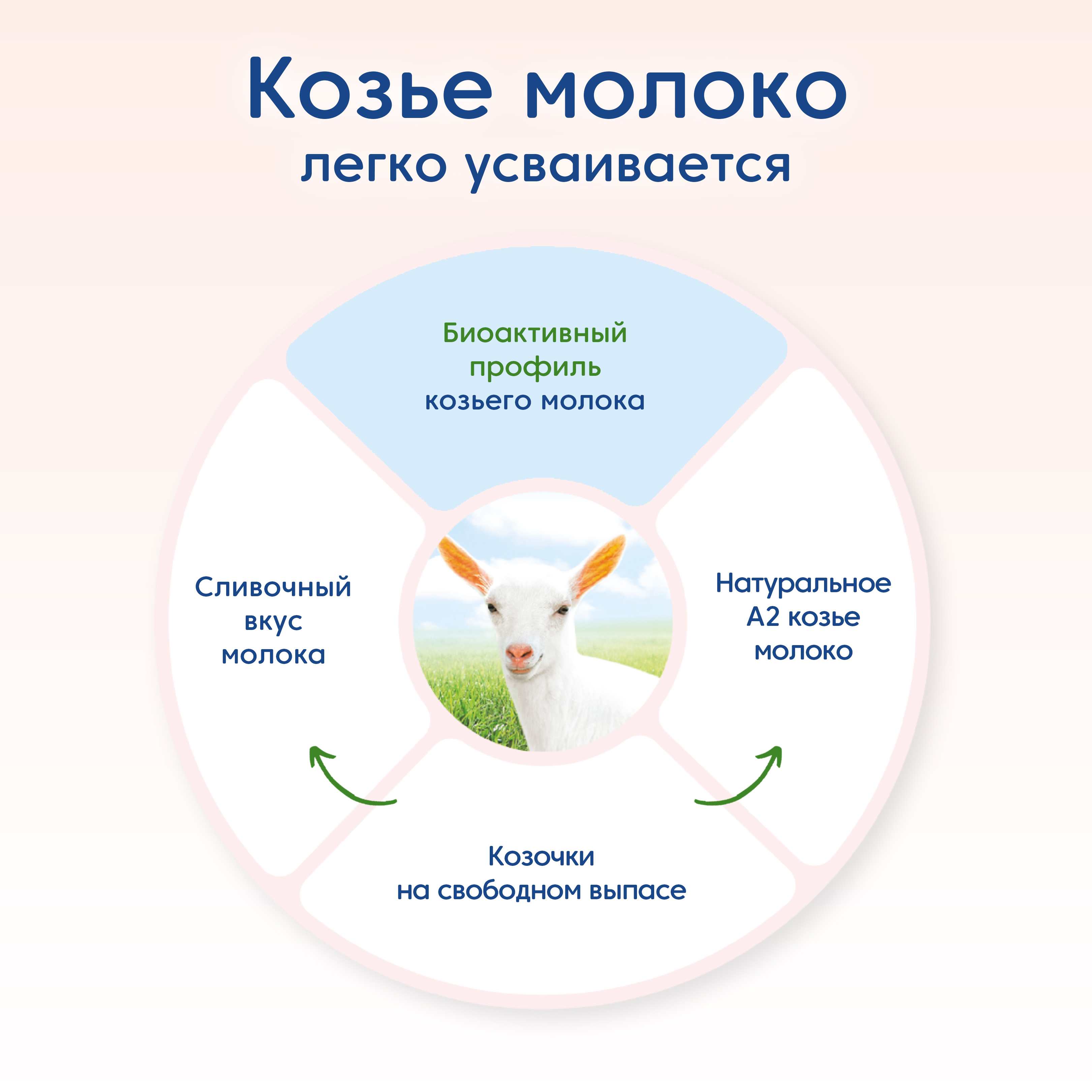 Смесь Мамако 3 Premium на козьем молоке 400г с 12месяцев - фото 4