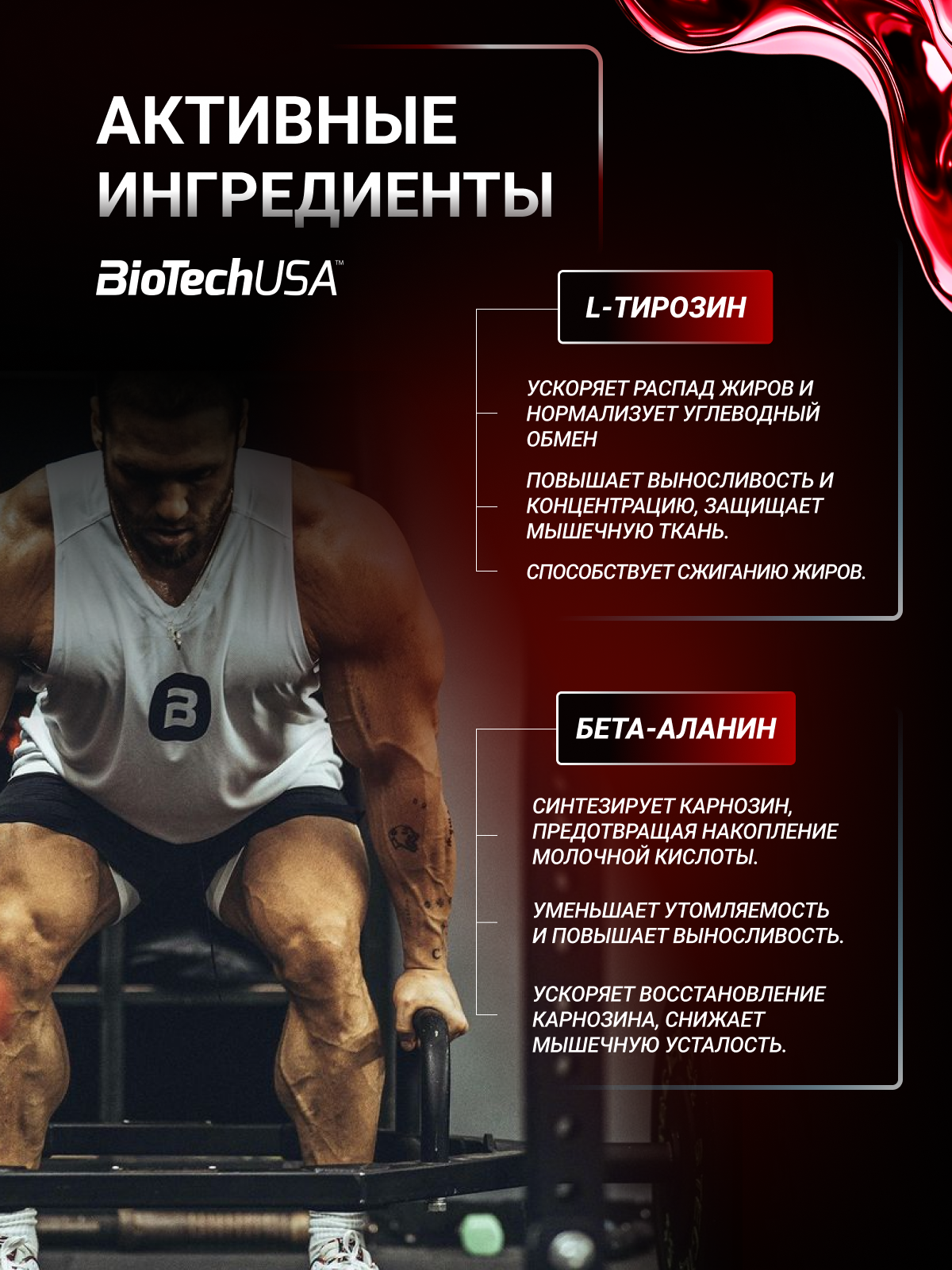 Предтренировочный комплекс BiotechUSA Black Blood NOX+ 330 г. Черника - лайм - фото 3