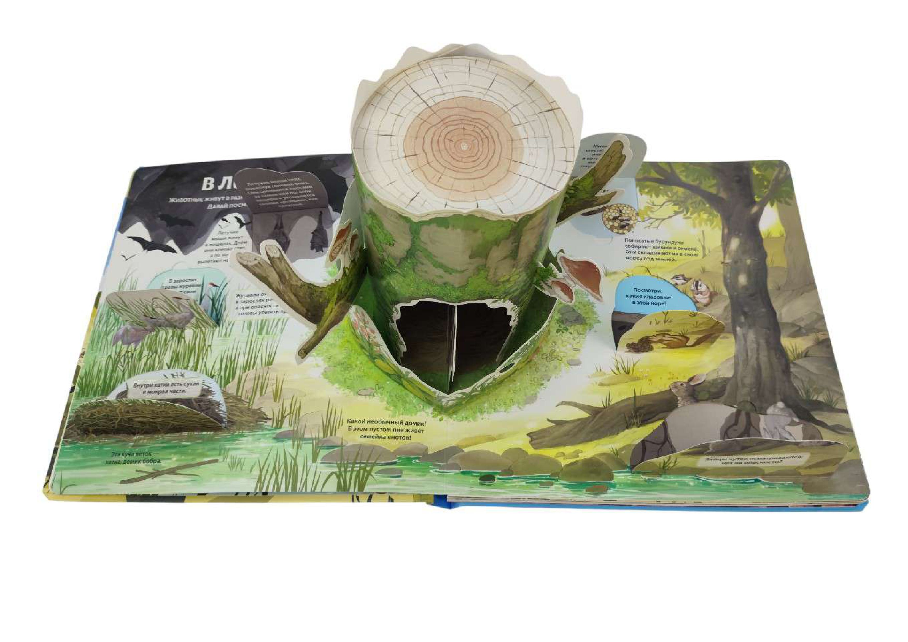 Книга Эксмо Животные и растения Энциклопедия - фото 3