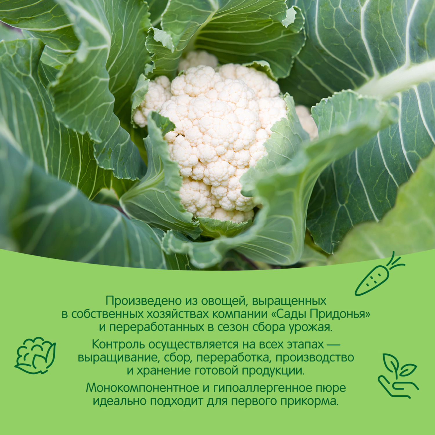 Пюре Сады Придонья Цветная капуста с 4 мес 120 г - фото 4