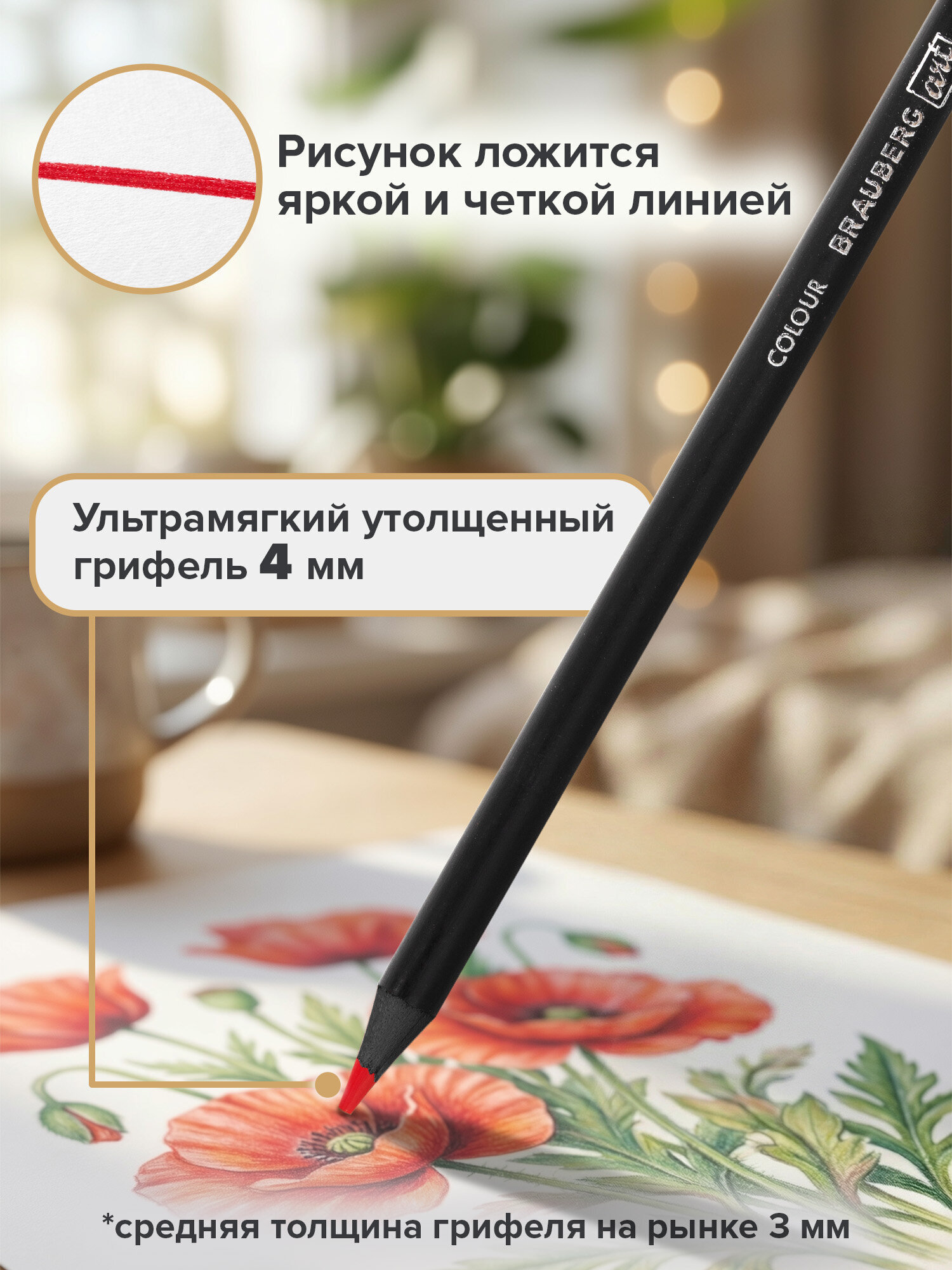 Карандаши цветные Brauberg 48 шт. - фото 4