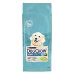 Корм для щенков Dog Chow с ягненком 14кг