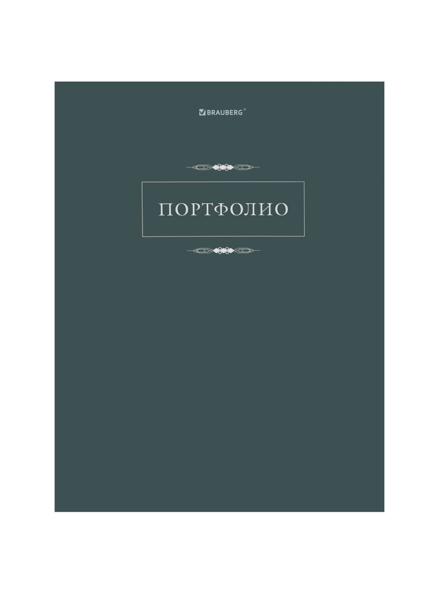 Портфолио школьника Brauberg папка А4 на кольцах 20 файлов для девочки и мальчика - фото 2