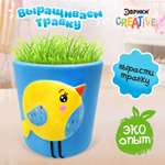 Набор для опытов Эврики