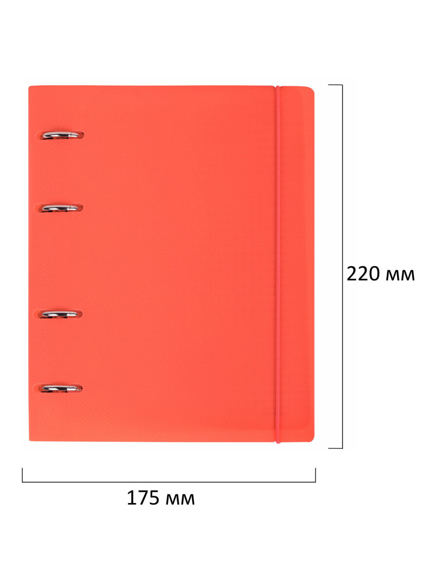 Тетрадь со сменным блоком Brauberg клетка 120 лист. - фото 4