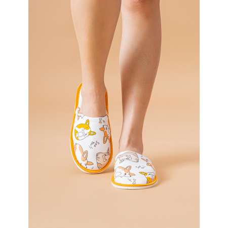 Тапочки IVShoes