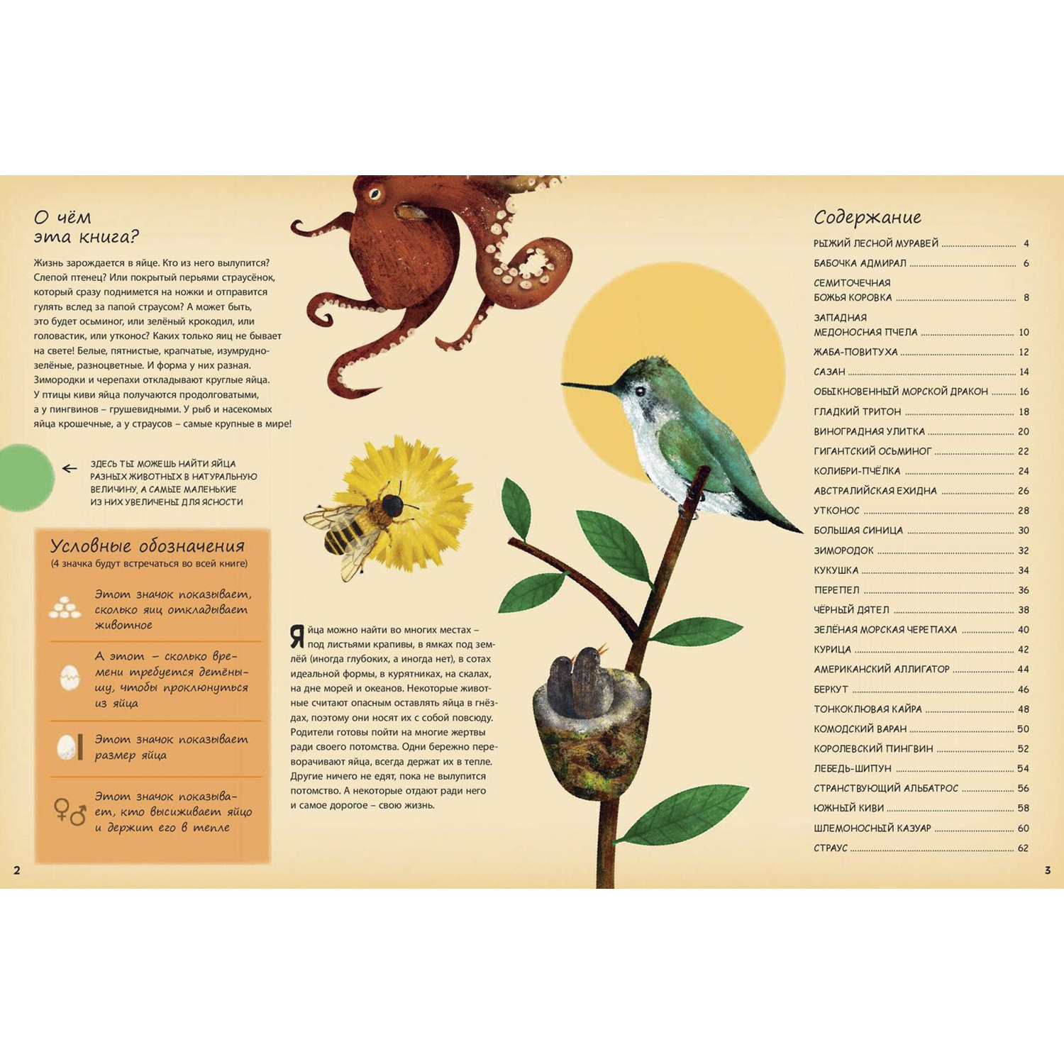 Книга ЭНАС-книга Кто появляется на свет из яйца? - фото 3