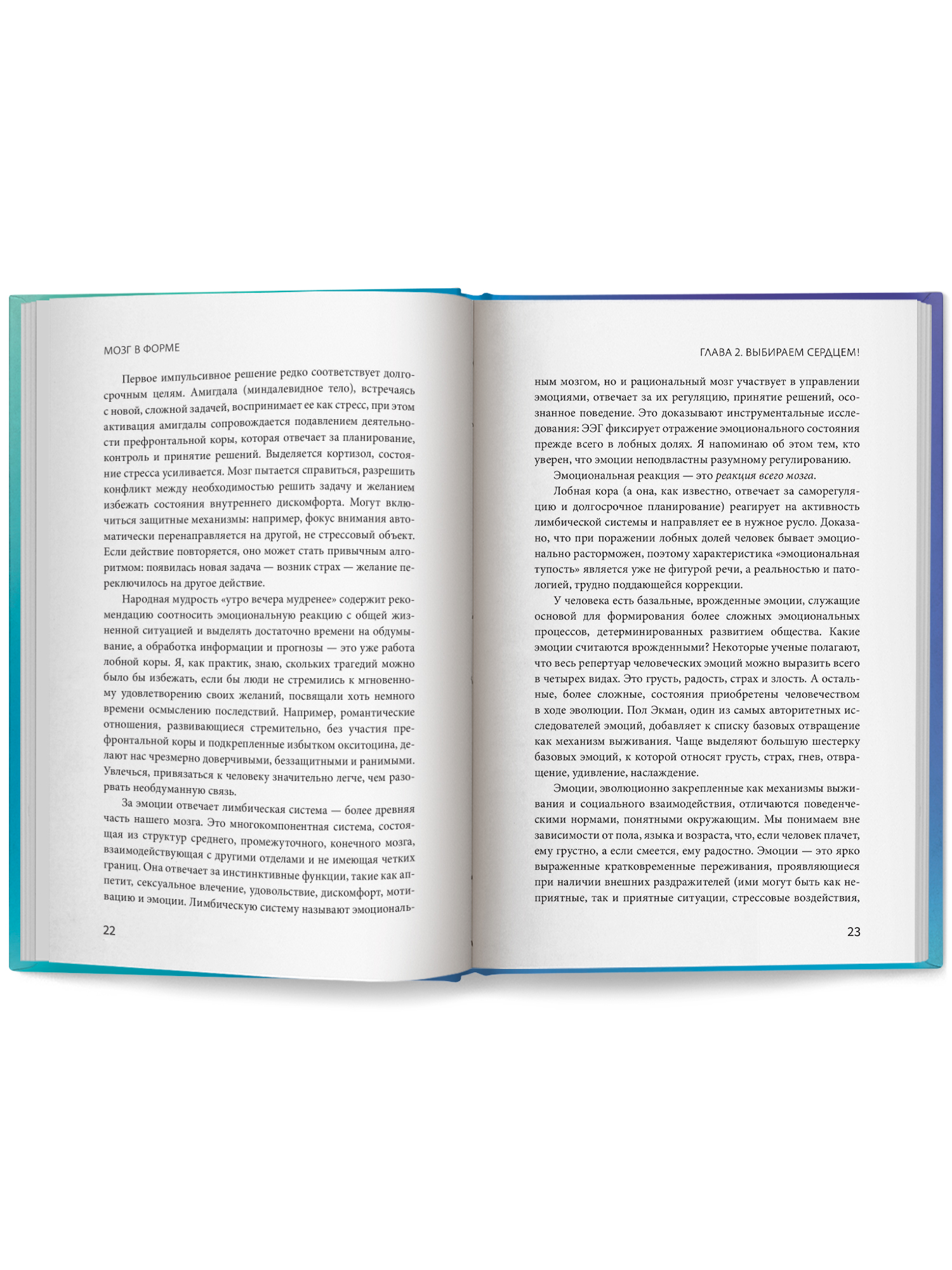 Мозг в форме Феникc Книга - фото 14