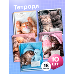 Тетрадь AXLER клетка 18 лист. 10 шт.