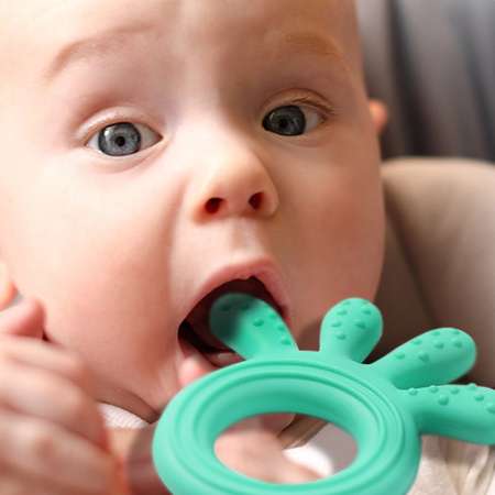 Прорезыватель Babyono Осьминожка в ассортименте