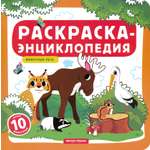 Книга Феникс Премьер Животные леса Книжка-раскраска