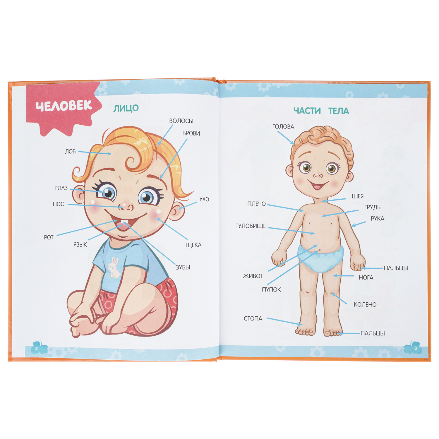 Книга УМка Синий трактор Первые 500 слов малыша - фото 3