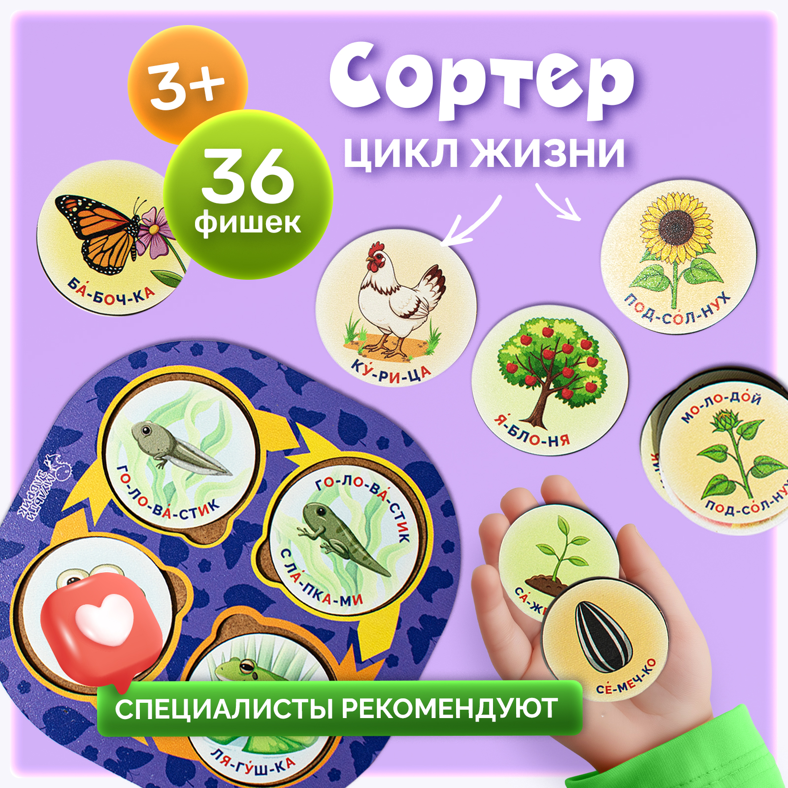 Конструктор МУЛЬТИЗАВРИК деревянный - фото 1