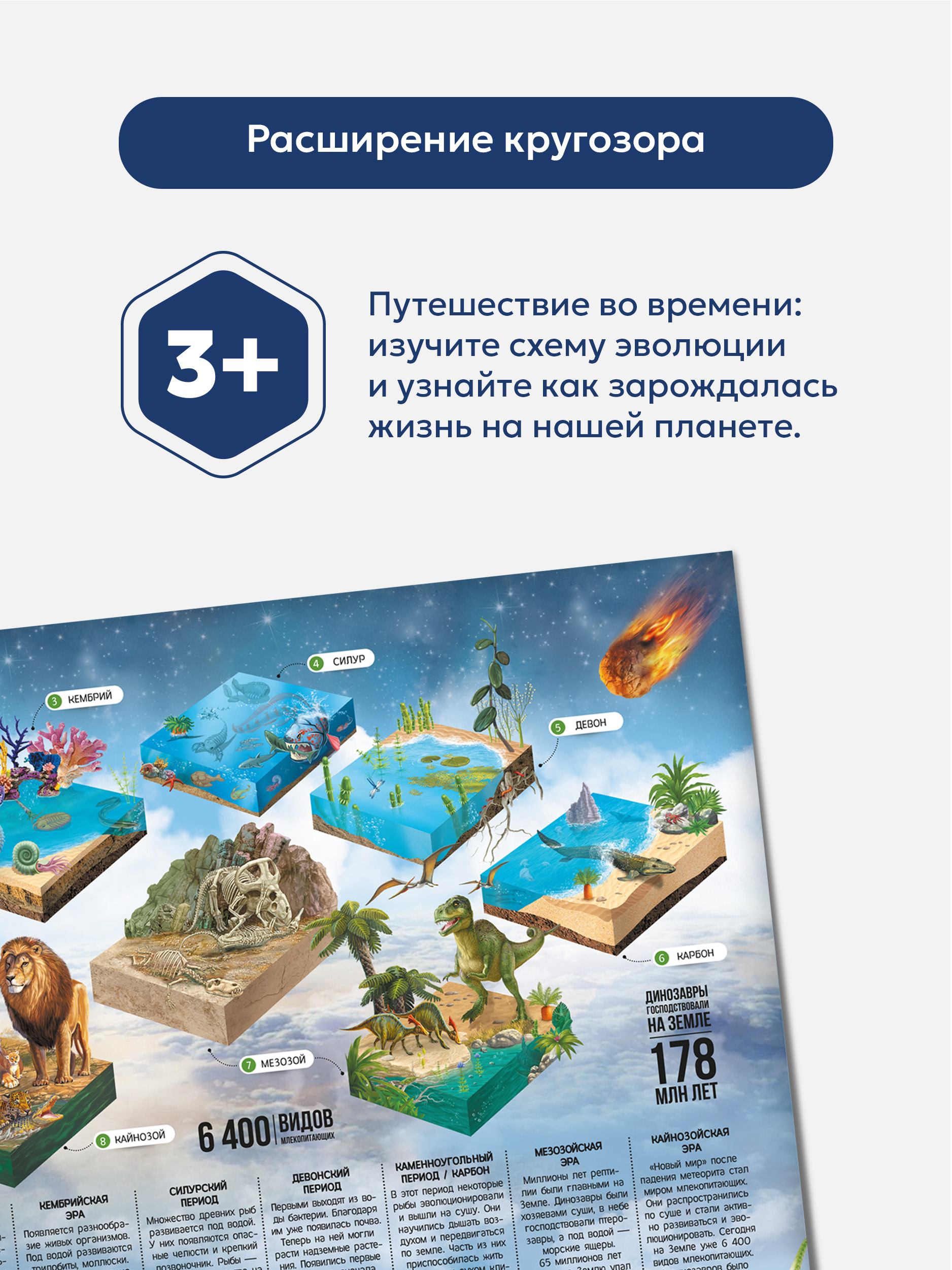 Книга с окошками Malamalama Плакат на стену Динозавры Энциклопедия - фото 3