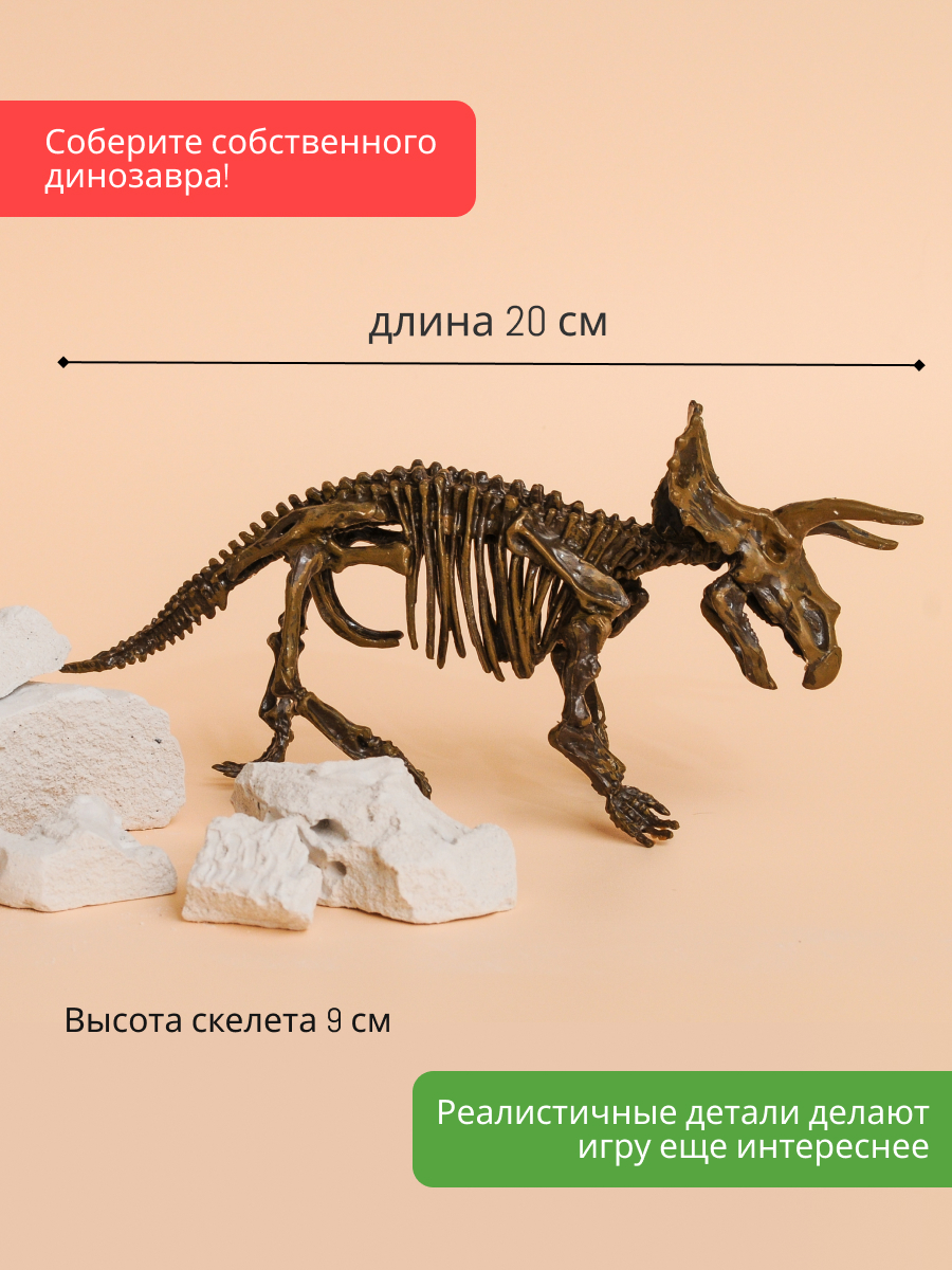 Набор для раскопок KONIK Science - фото 9