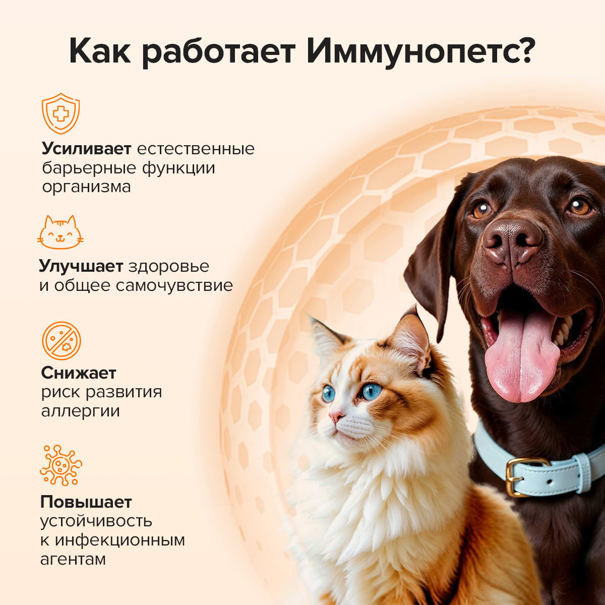 Кормовая добавка Pets health Поддержка здоровья - фото 2