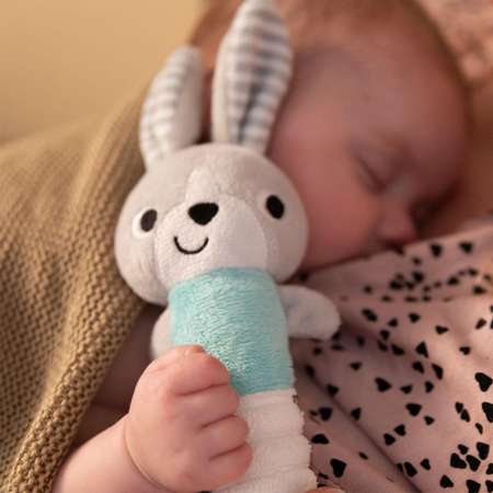 Игрушка Babyono погремушка