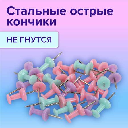 Кнопки Brauberg 50 шт.