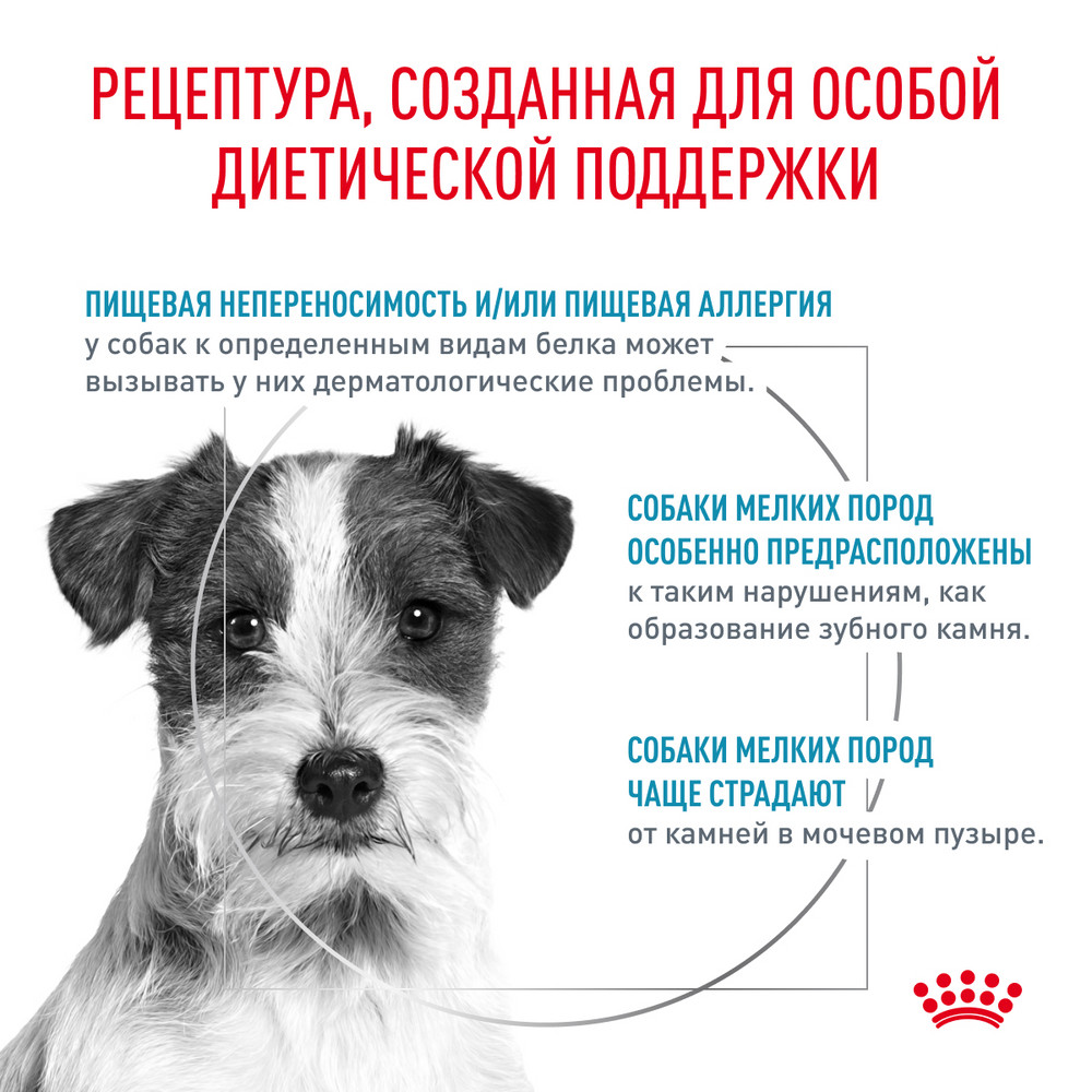 Корм для собак ROYAL CANIN Hypoallergenic HDS24 малых пород с пищевой аллергией 3.5кг - фото 2