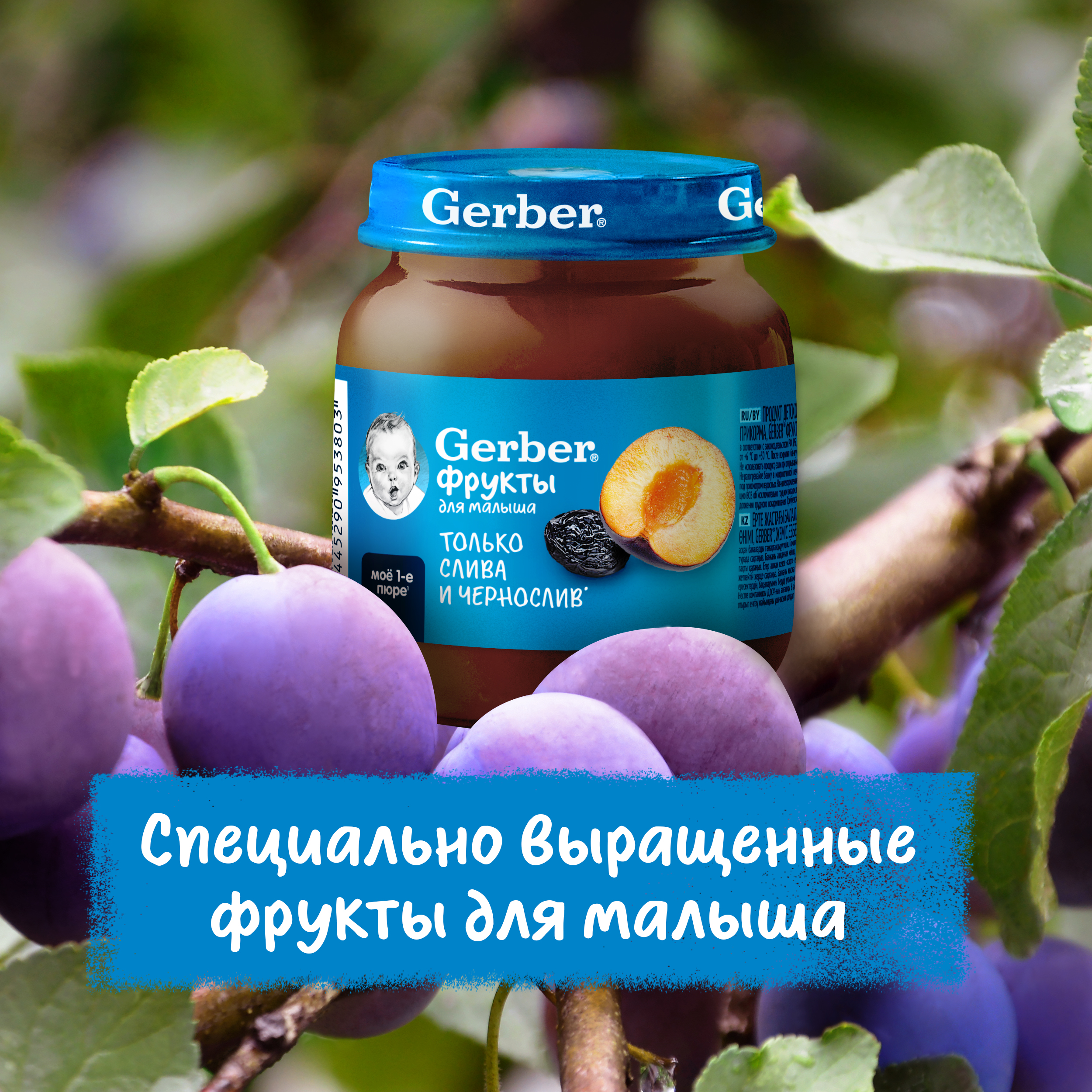 Пюре Gerber Чернослив с 5 мес 125 г - фото 5
