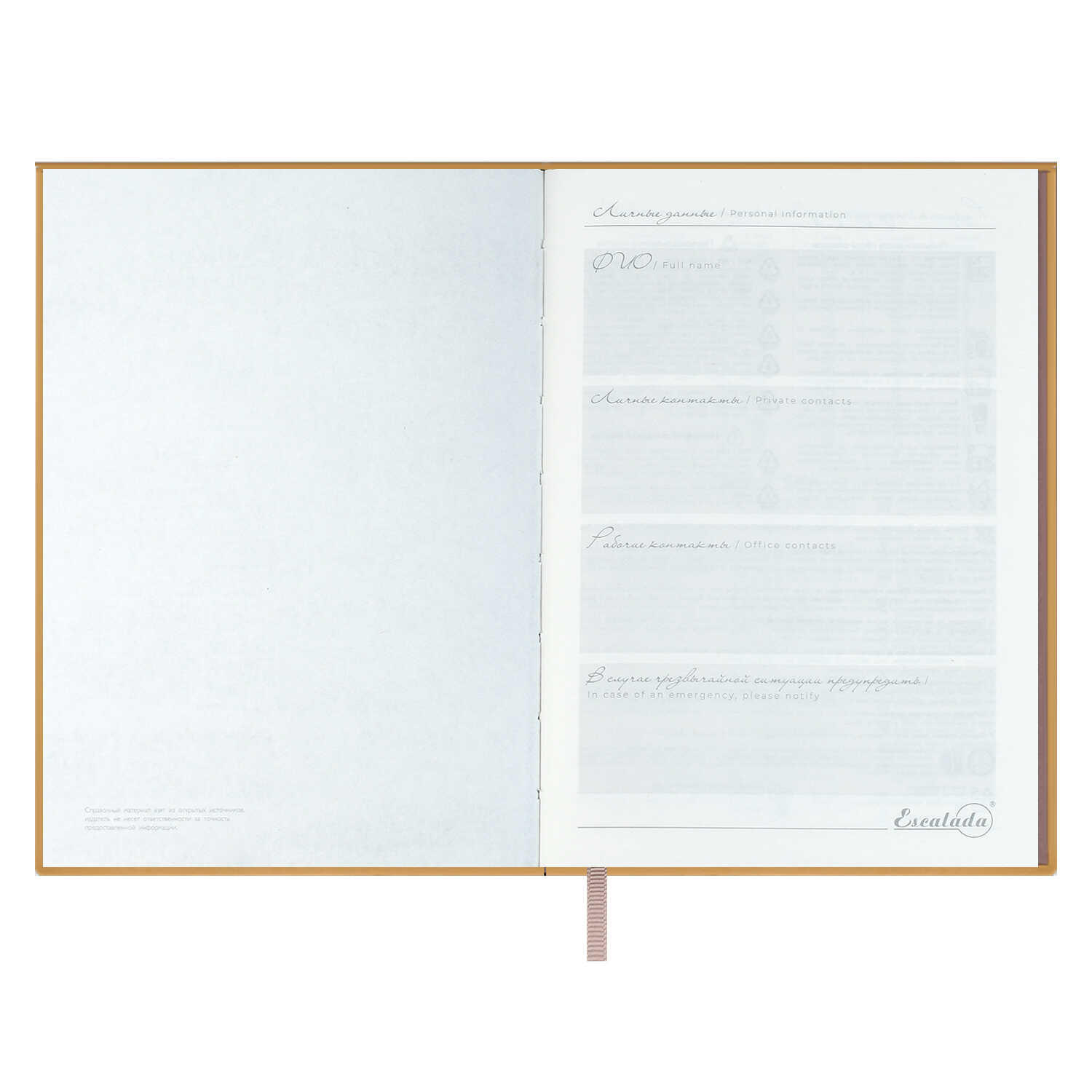 Ежедневник Феникс + ESCALADA 160 лист. - фото 12