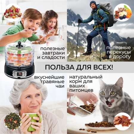 Дегидратор GFGRIL для овощей и фруктов GFD-002 5 уровней овальный