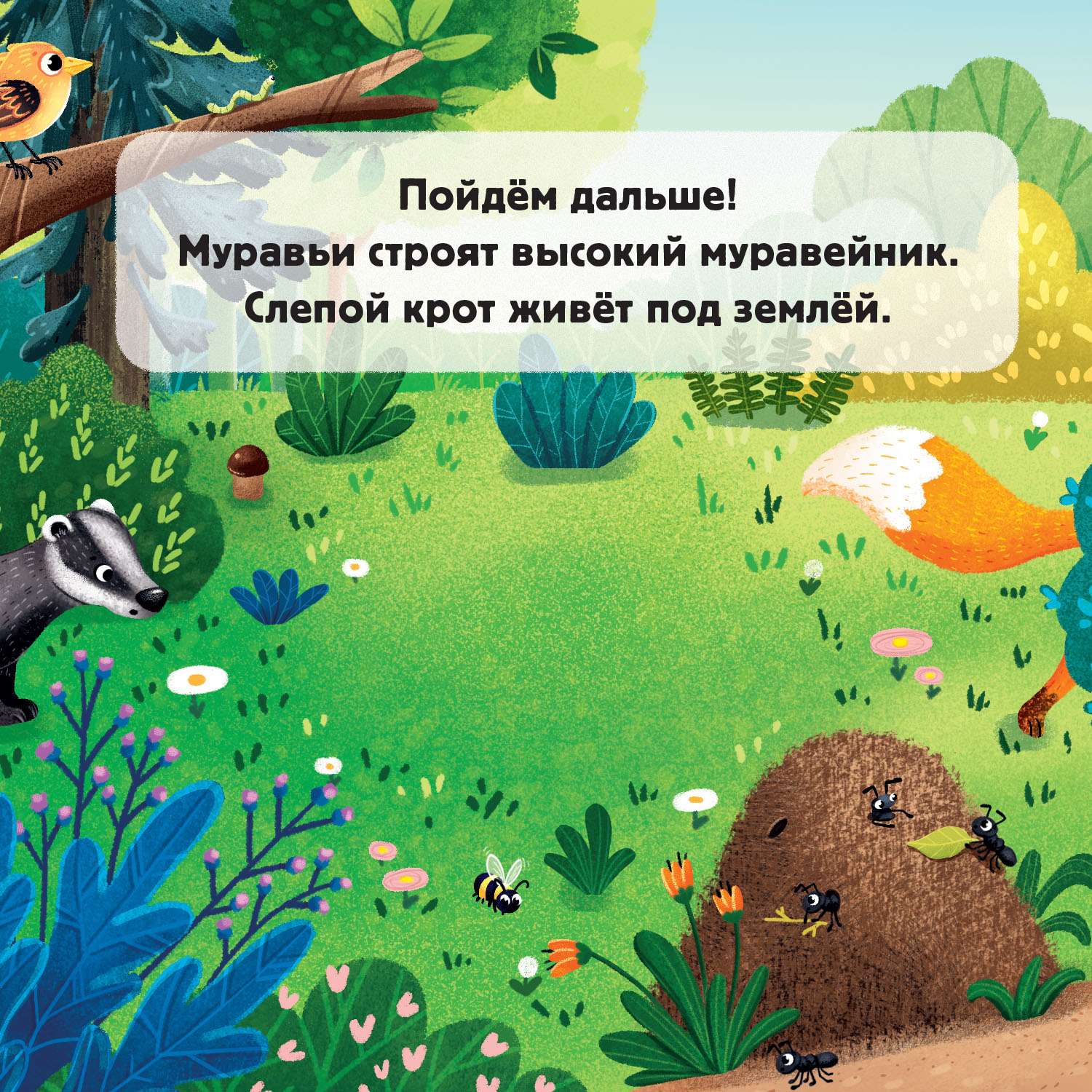 Книга покрути и узнай Лесные зверята - фото 5