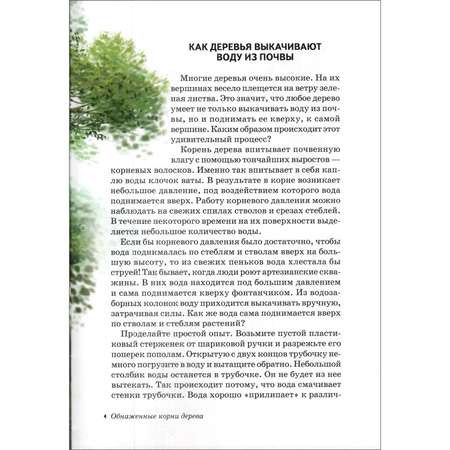 Книга Лада Деревья. Школьный путеводитель