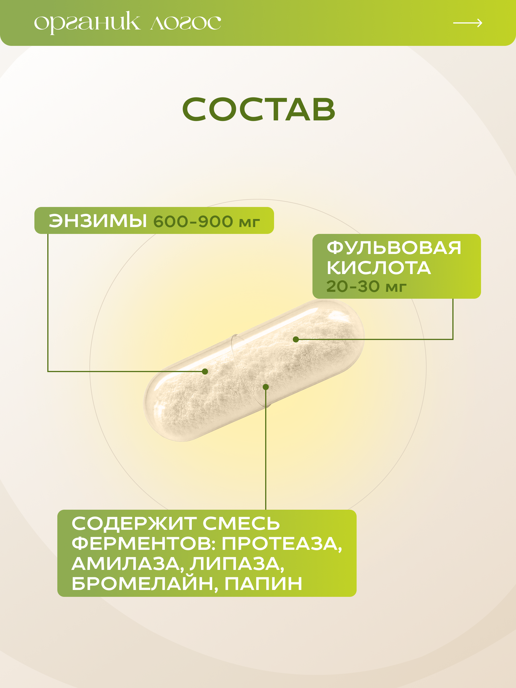 Пищеварительные ферменты Для ЖКТ ОРГАНИК ЛОГОС 60 капсул - фото 5