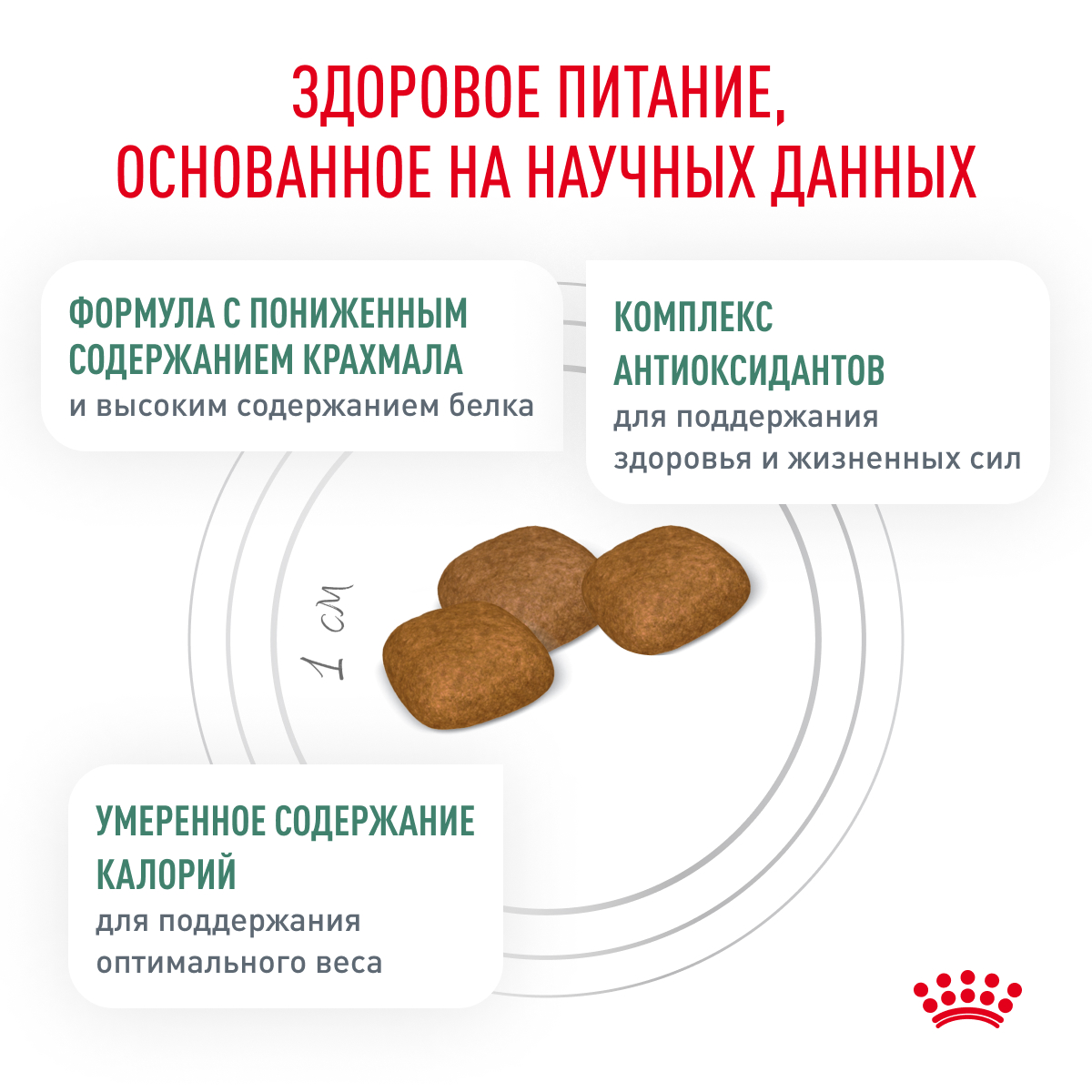 Корм для собак ROYAL CANIN Diabetic при сахарном диабете 1.5кг - фото 4