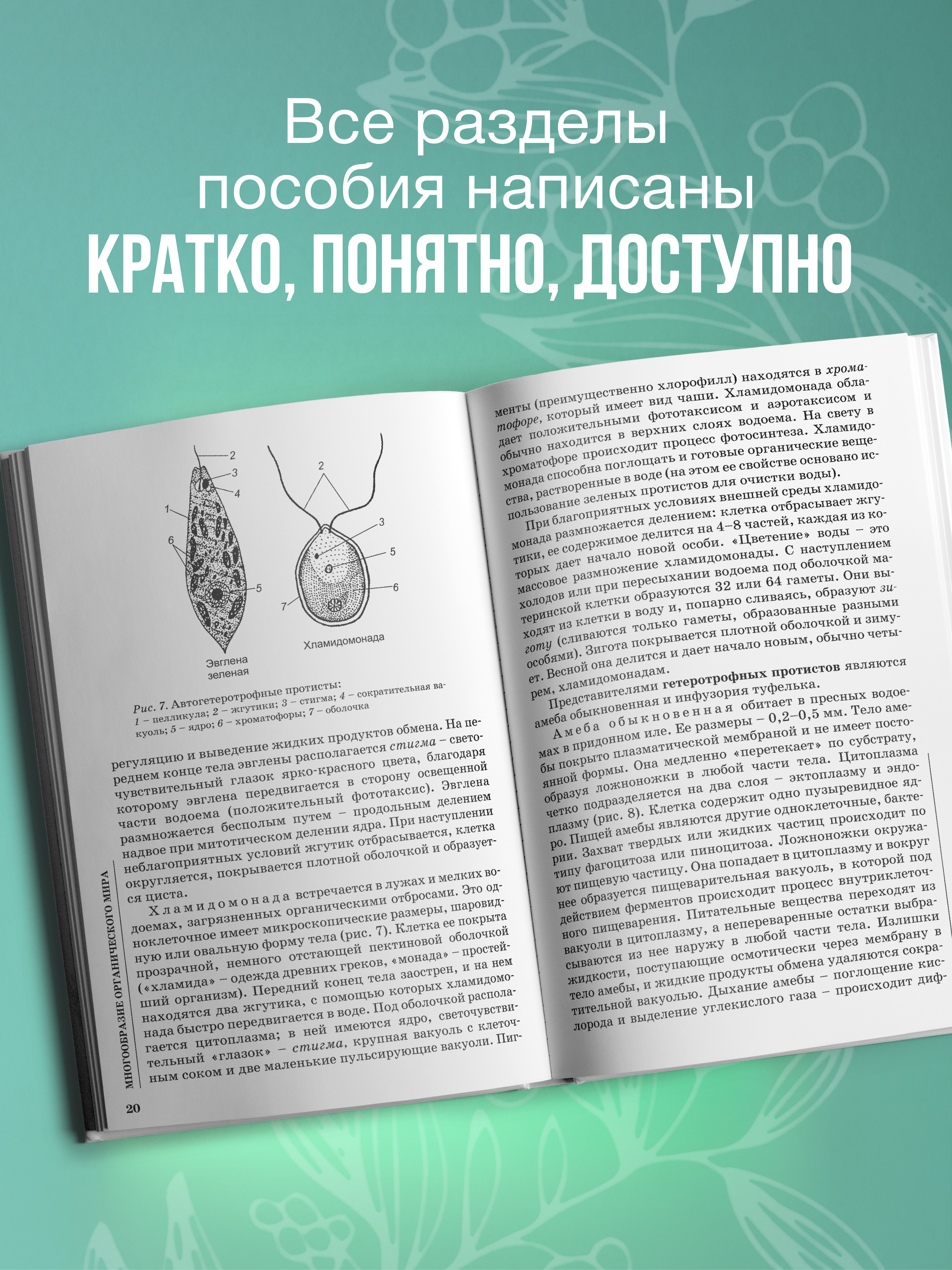 Биология для поступающих в вузы Феникс Книга - фото 5