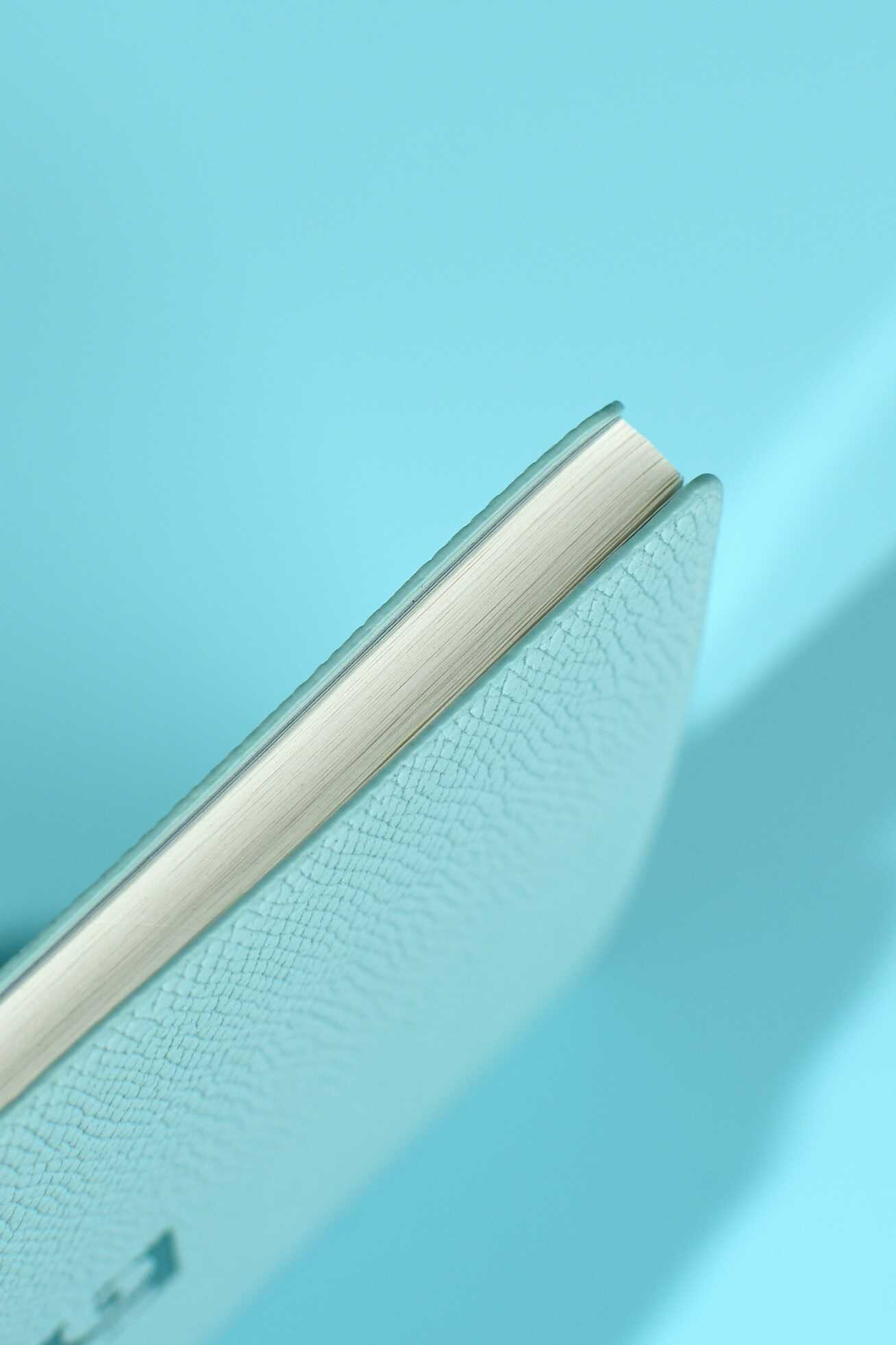 Ежедневник Феникс + ESCALADA 64 лист. - фото 11