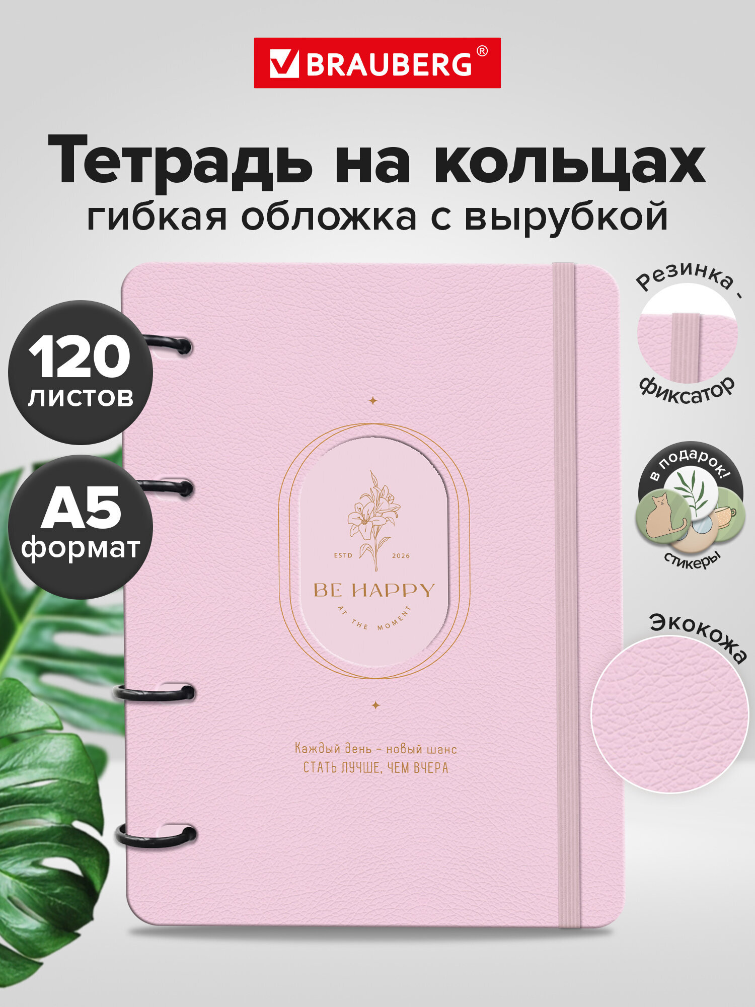 Тетрадь со сменным блоком Brauberg клетка 120 лист. - фото 2