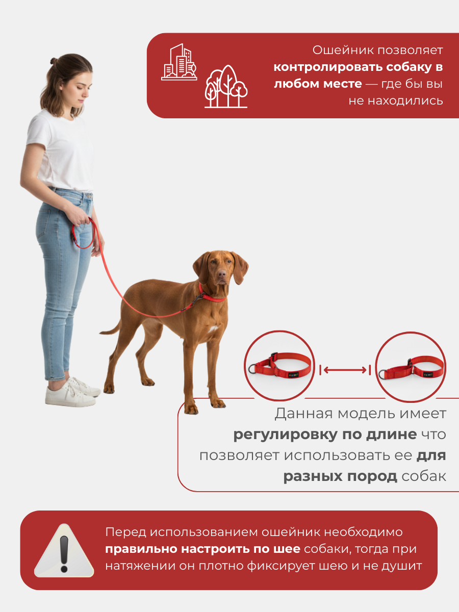 Ошейник для собак Easy Pets 5003 Martingale красный р-р L 45-70см - фото 6