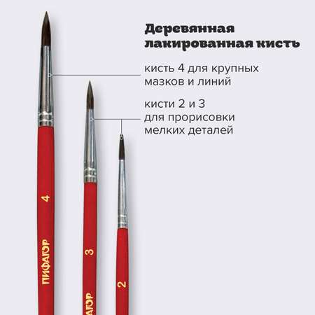 Кисть Пифагор 3 шт. (пони)