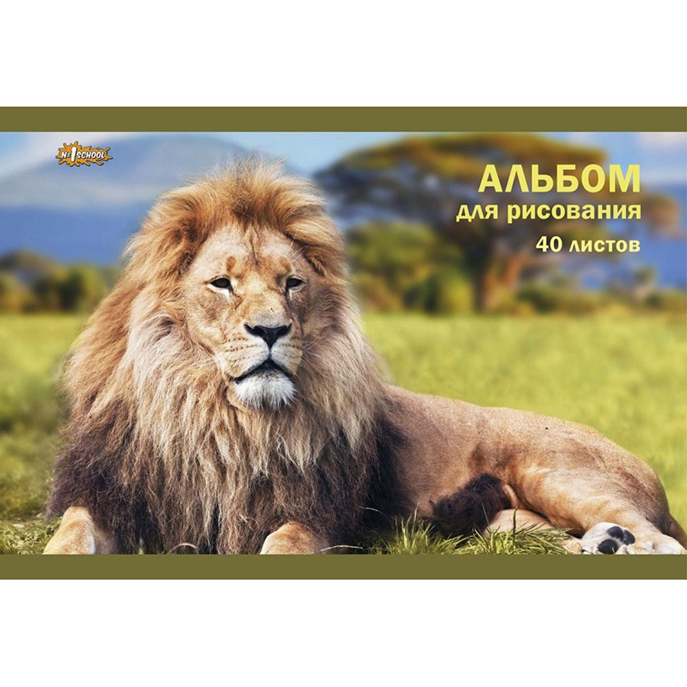 Альбом №1 School А4 40 лист. 2 шт. - фото 4