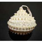 Украшение ёлочное Магия праздника NY022