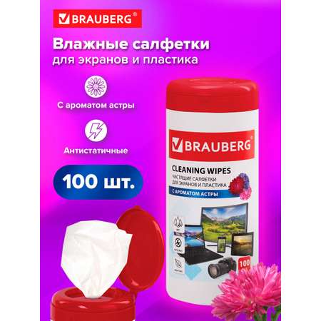 Моющее средство Brauberg для экранов 100 шт.