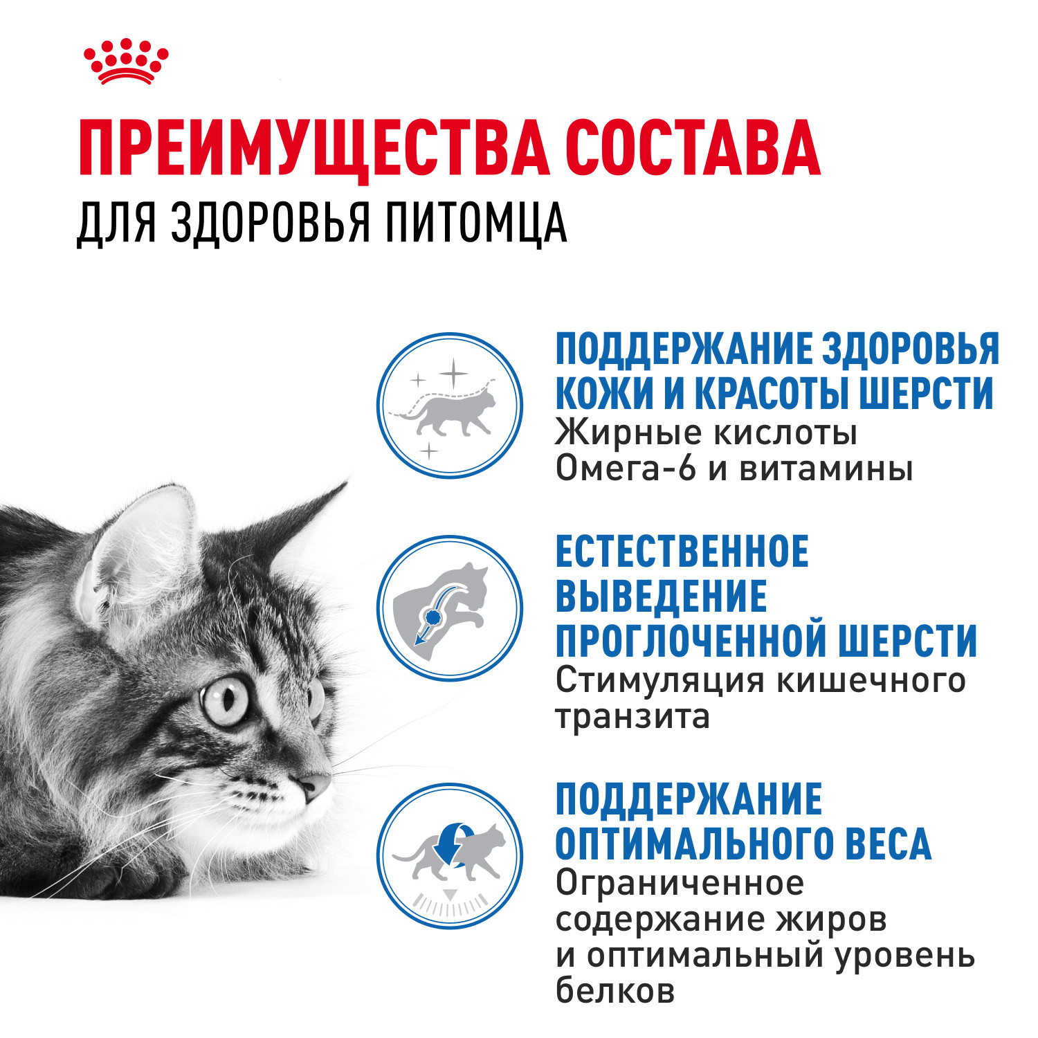 Корм сухой для кошек ROYAL CANIN Indoor Long Hair 2кг домашних длинношерстных - фото 3