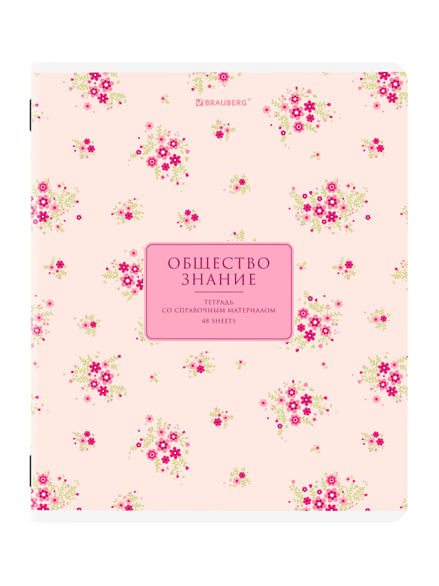 Тетрадь Brauberg 48 лист. 12 шт. - фото 7