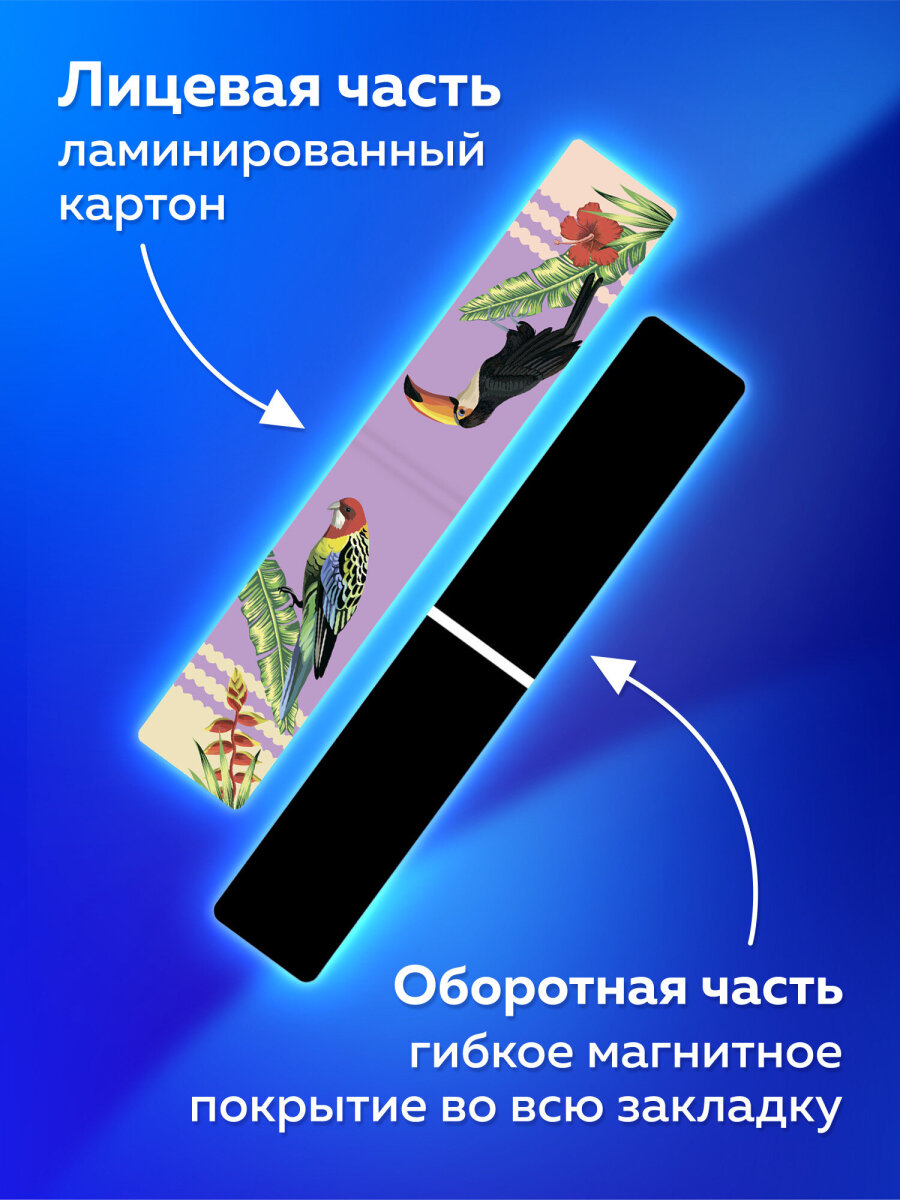 Магнитная закладка Brauberg 12 шт. - фото 2