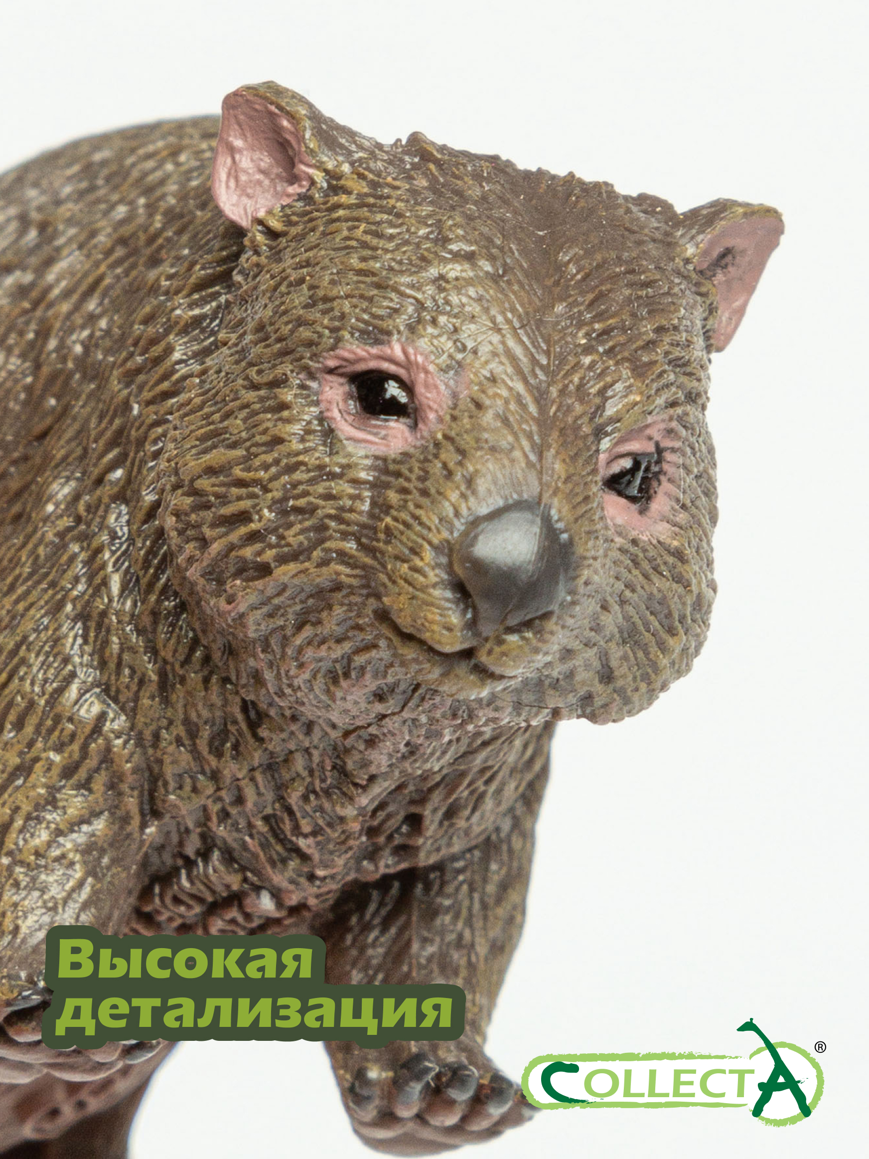 Фигурка Collecta Вомбат - фото 3