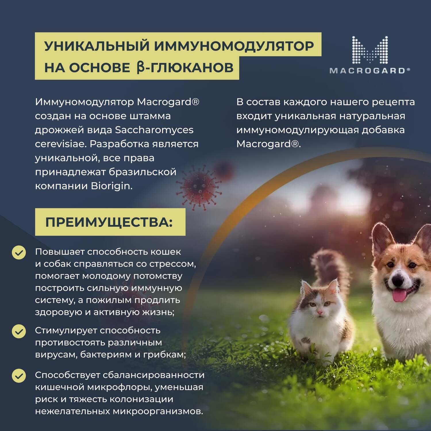 Корм для кошек Mr.Buffalo Kitten с курицей сухой 400г - фото 9