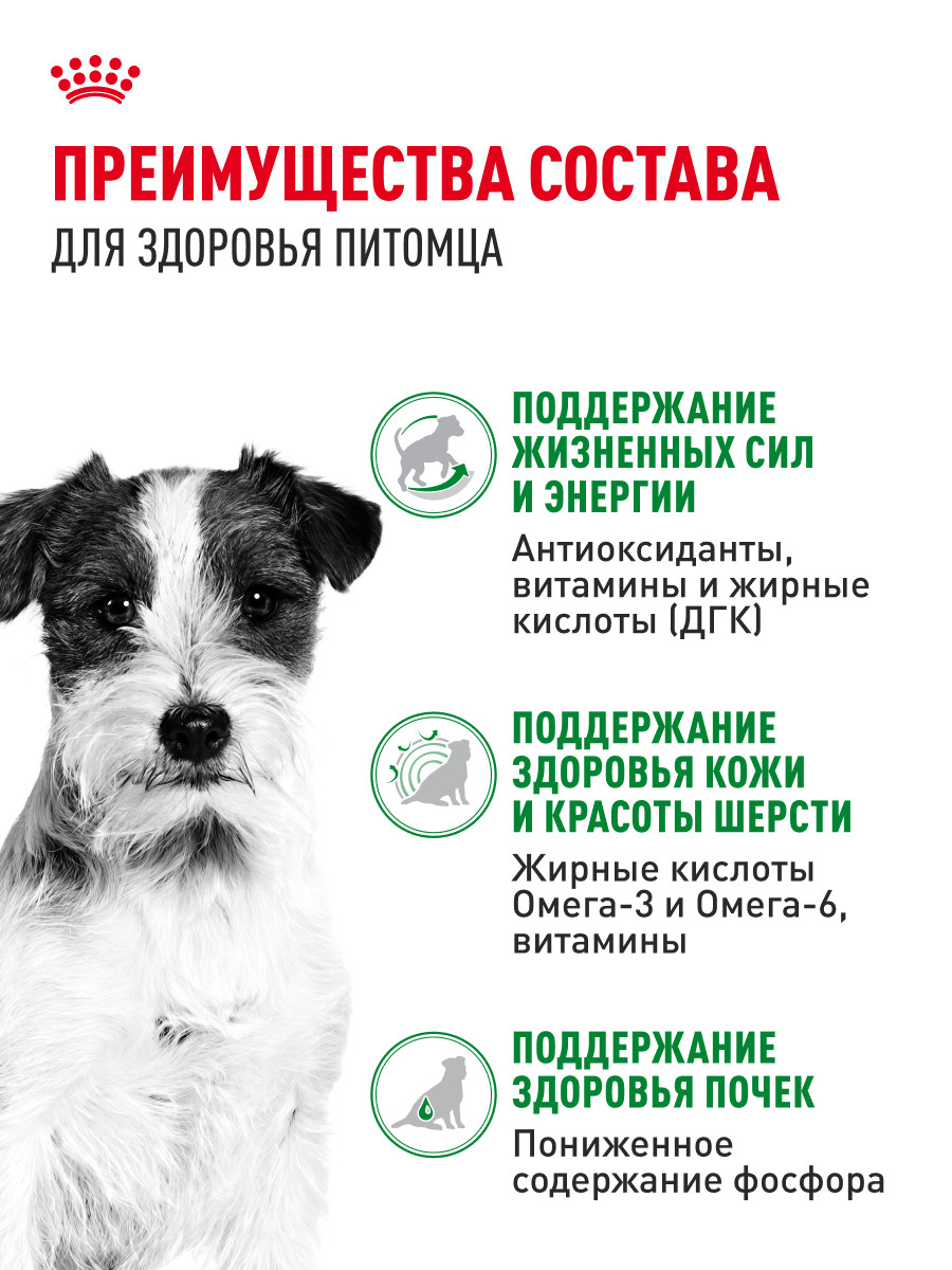 Корм для собак ROYAL CANIN Mini Ageing 12+ для стареющих собак мелких размеров 85г - фото 3
