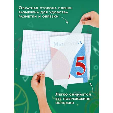 Обложка Пифагор 45 x 30 см 10 шт.