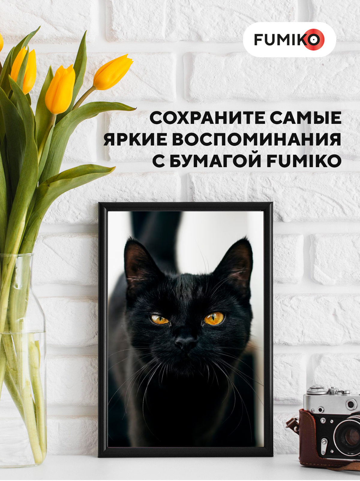 Бумага офисная FUMIKO 100 лист. - фото 6