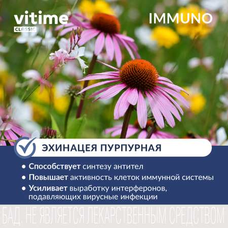 Комплекс для поддержания иммунитета Vitime VITime Classic Иммуно