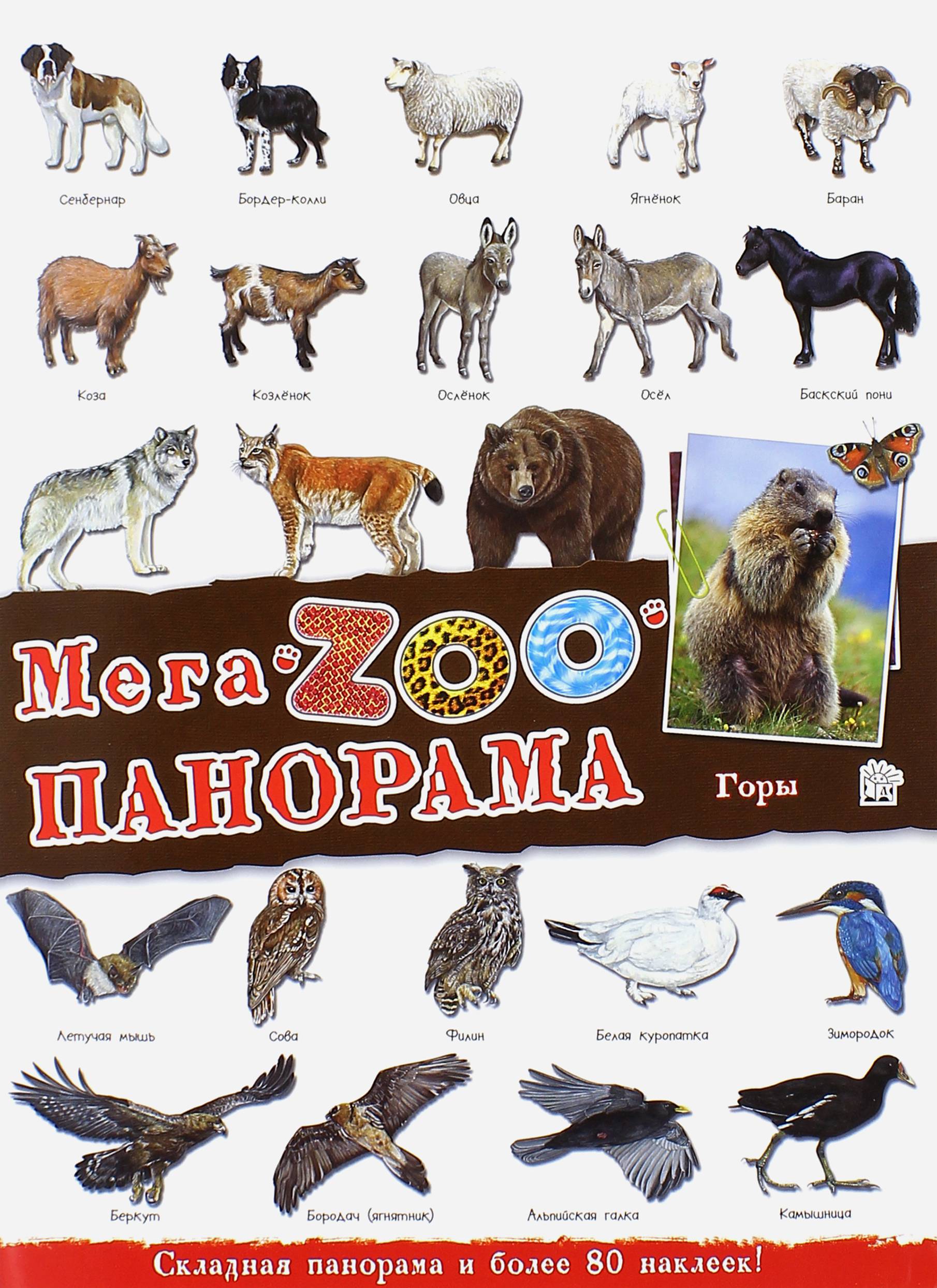 Книга Лабиринт МегаZоопанорама Горы - фото 1