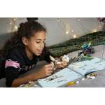 Конструктор LEGO Elves 41195 640 дет.